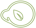Vision icon